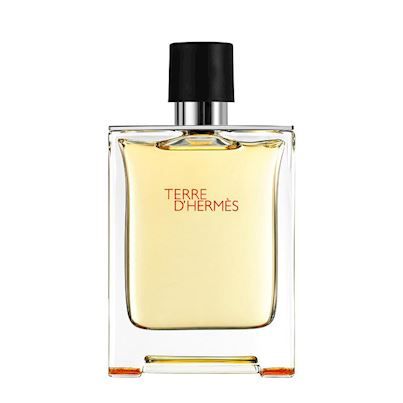 Terre D`Hermes Eau De Toilette Spray 100 ML
