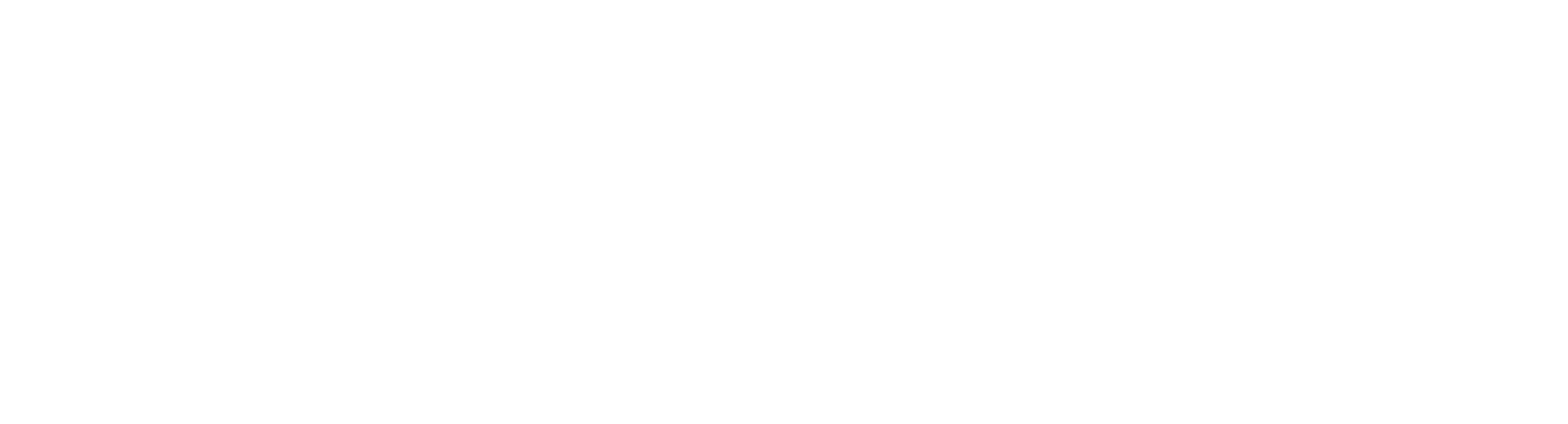 L`OREAL PROFESSIONNEL