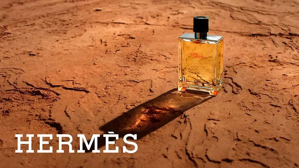 Guida pratica alle offerte Terre d’Hermes