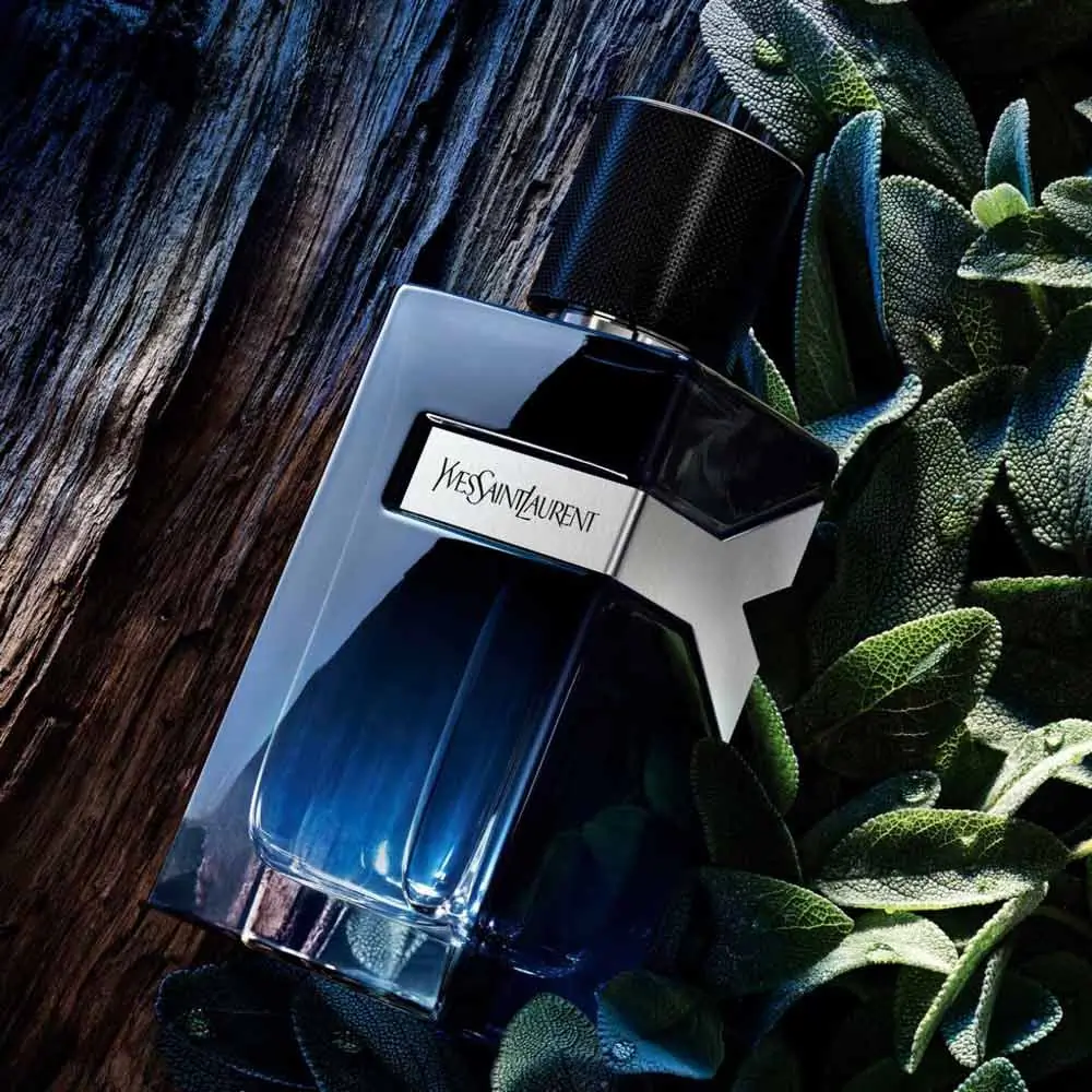Profumo Uomo Yves Saint Y-Eau-De-Parfum